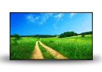 Wanddisplay Professional Monitor 50"