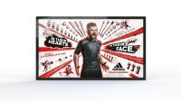 Wanddisplay Slimline Pro 32"