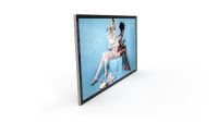 Wanddisplay Slimline Pro 22