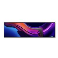 Solum Ultra-Wide Stretch Touch Display 29"