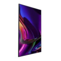 SOLUM S-Series Signage Display S55A UHD 55"