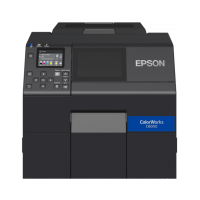 Etikettendrucker Epson ColorWorks D6000Ae